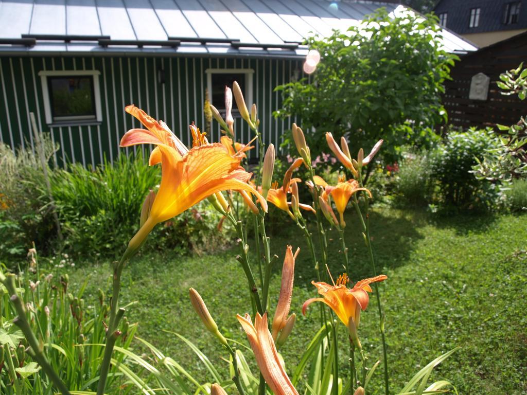 Guest House Luft Sneznik ภายนอก รูปภาพ